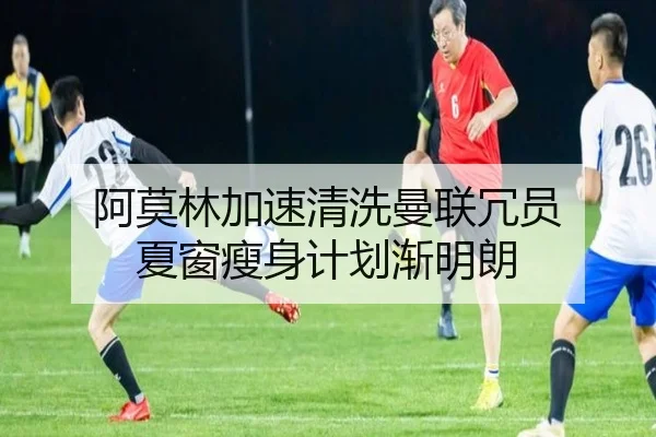 阿莫林加速清洗曼联冗员 夏窗瘦身计划渐明朗